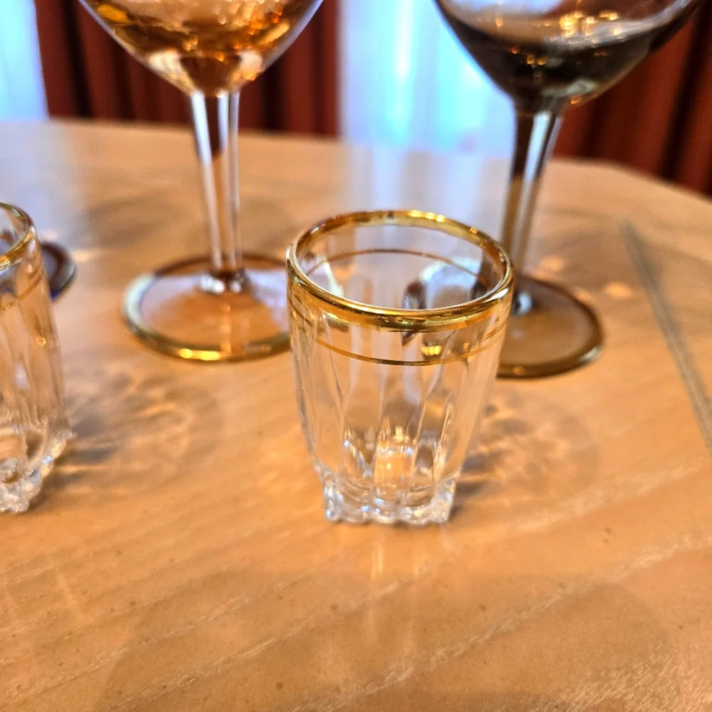 Vintage Gold Band 5-Piece Stemware Wine Glasses & 4-Piece Shot Glasses